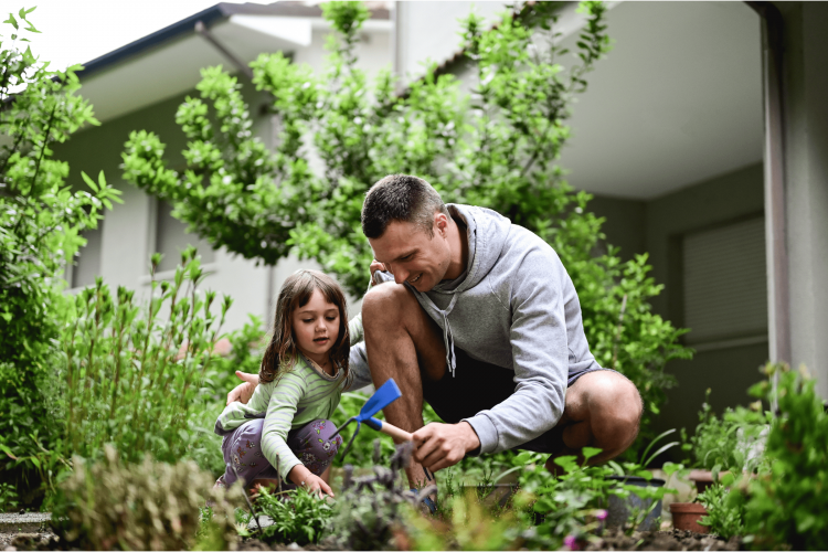 September Market Update's Cover Image